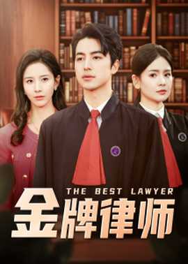 金牌律师 全集(大结局)