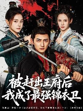 被赶出王府后我成了最强锦衣卫(全集)
